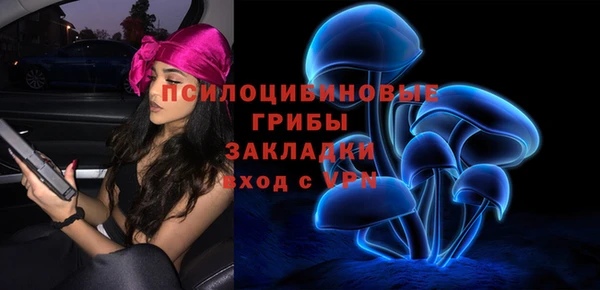 2c-b Краснослободск