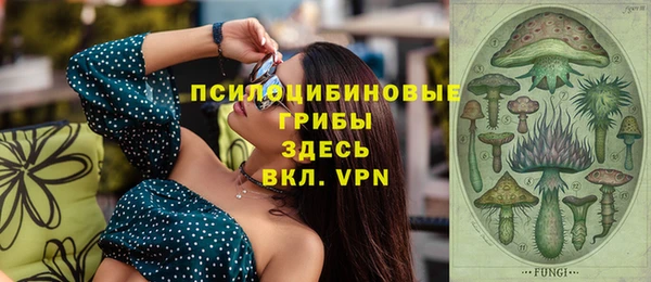 2c-b Краснослободск