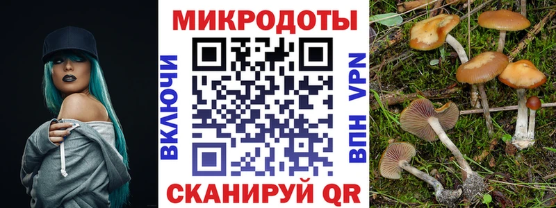 Псилоцибиновые грибы мицелий  Купить закладки  Алатырь 