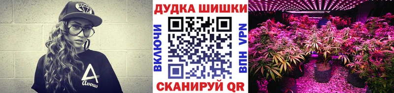 Шишки марихуана Amnesia  Купить закладки  Алатырь 